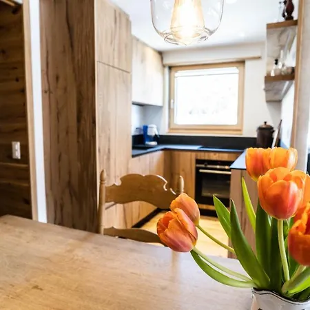 Haus Camillo Apartment